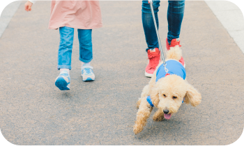 家族やペットとのびのび遊べる