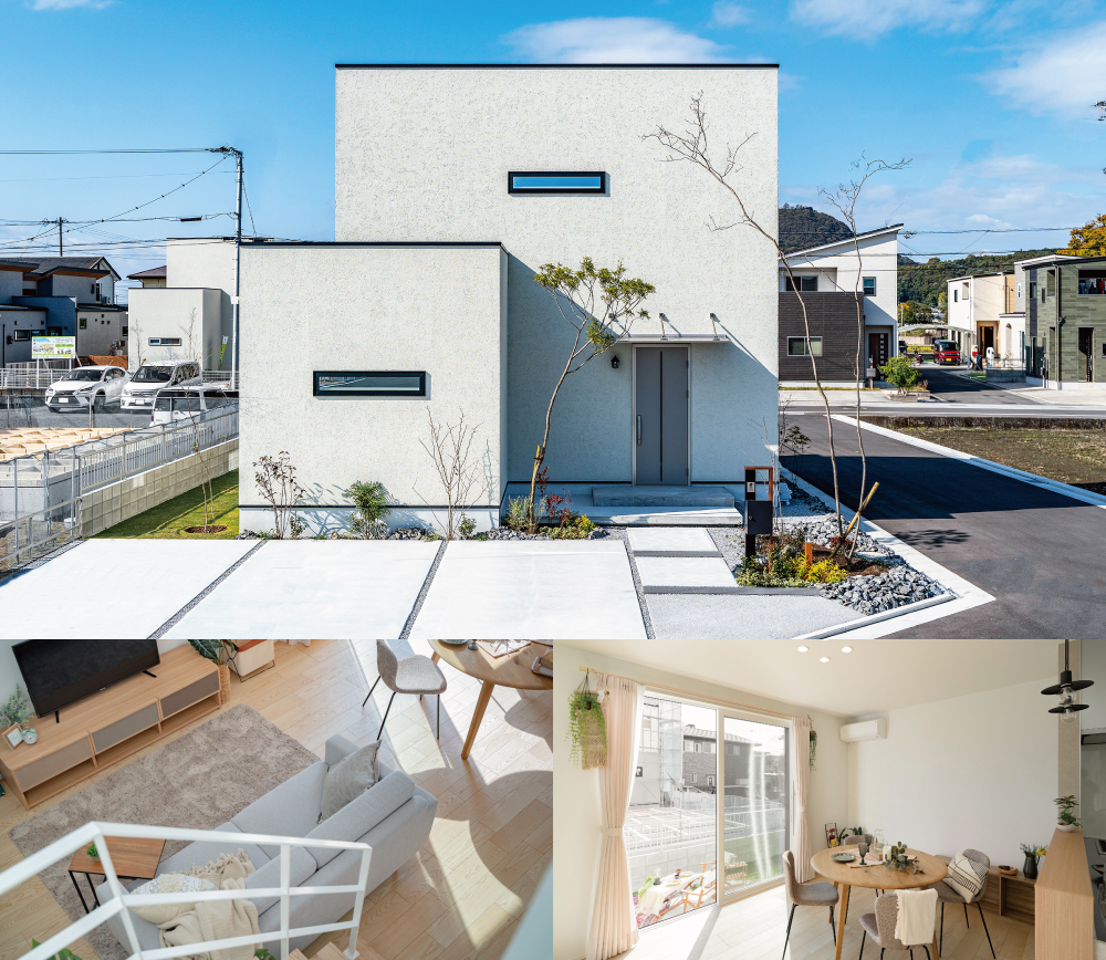 1号地│アイキャッチ画像